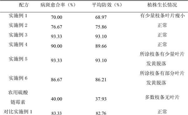 Smearing preparation for preventing and controlling kiwifruit bacterial canker