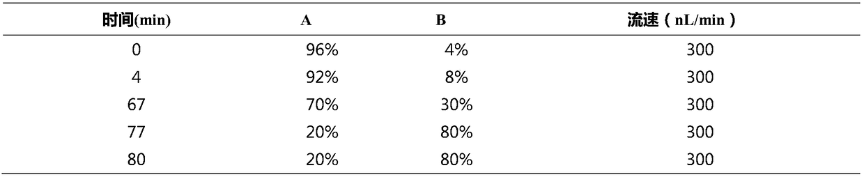 Method for screening and identifying Xinjiang Dolang sheep breeding associated protein screening at different physiological periods