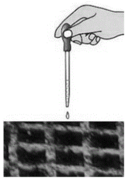 Naked seed water sowing method for tobacco seedling culture