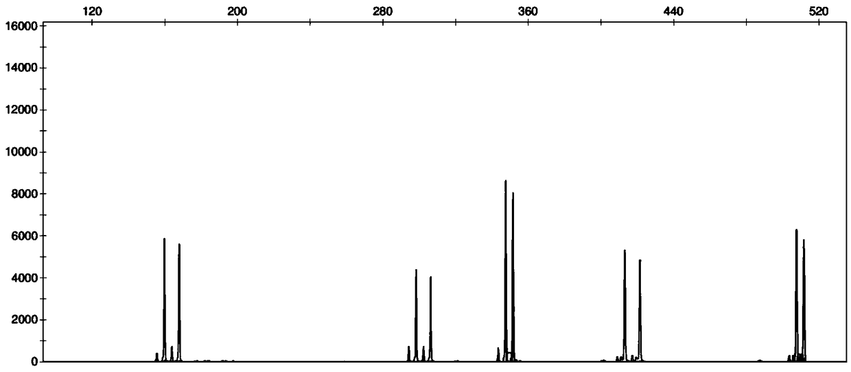 Primer set and detection kit for detecting STR gene locus of human chromosome 4 and application of primer set