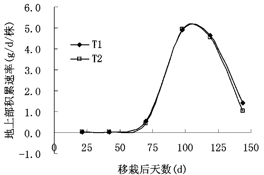 Transplantation method for accelerating growth and development of faint scent type tobacco plant