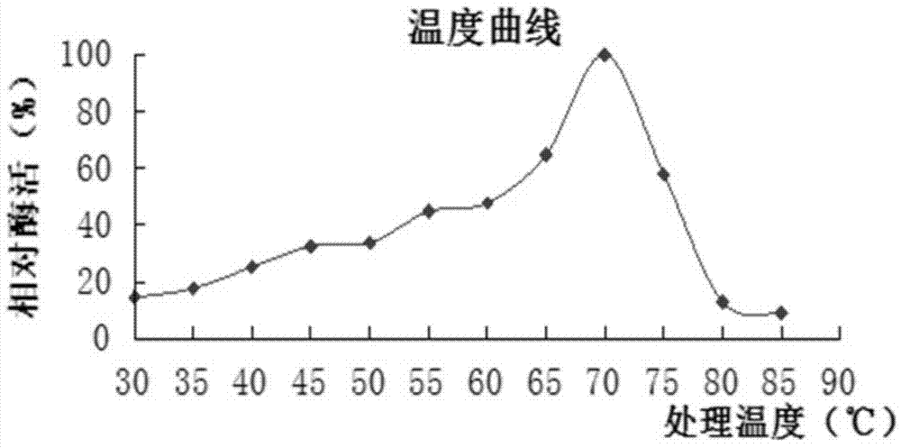 Trichoderma reesei bacterial strain for expressing saccharifying enzyme