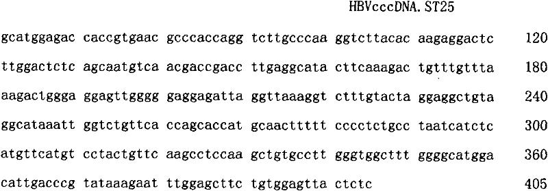 Fluorescent quantitative PCR (Polymerase Chain Reaction) testing method for cccDNA (covalently closed circular deoxyribonucleic acid) of hepatitis B virus and kit thereof