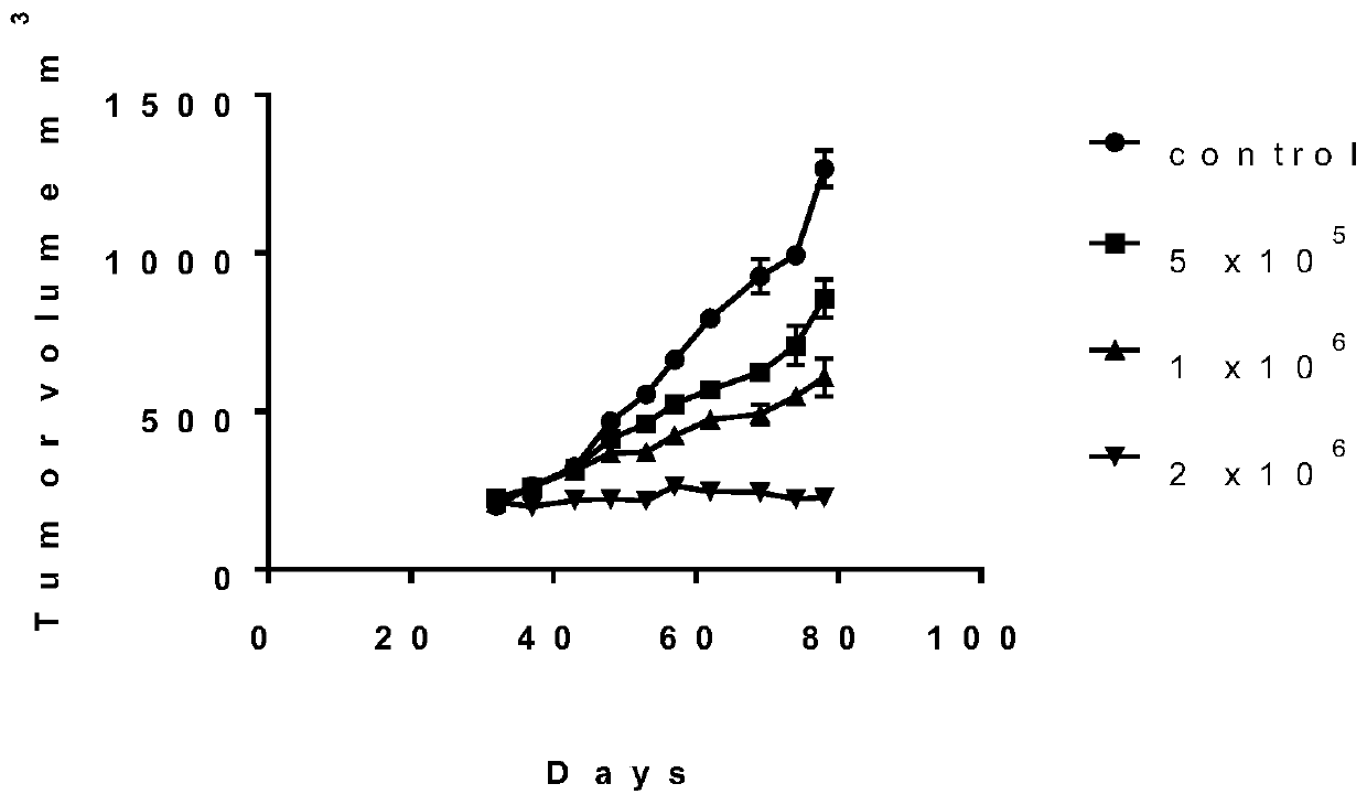 Cell subset for immunotherapy of primary hepatocellular carcinoma and preparation method thereof