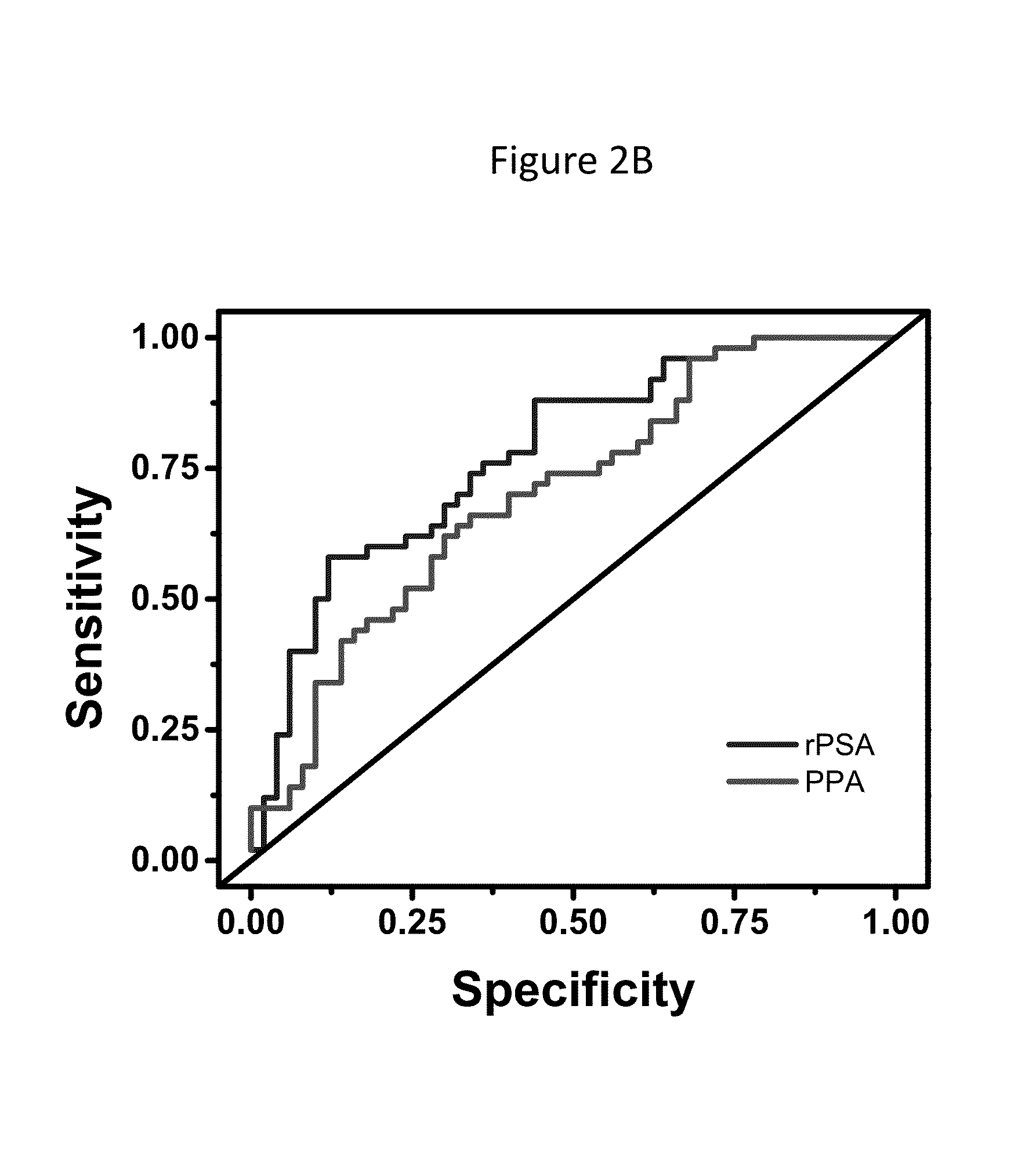 Psa enzymatic activity:  a new biomarker for assessing prostate cancer aggressiveness