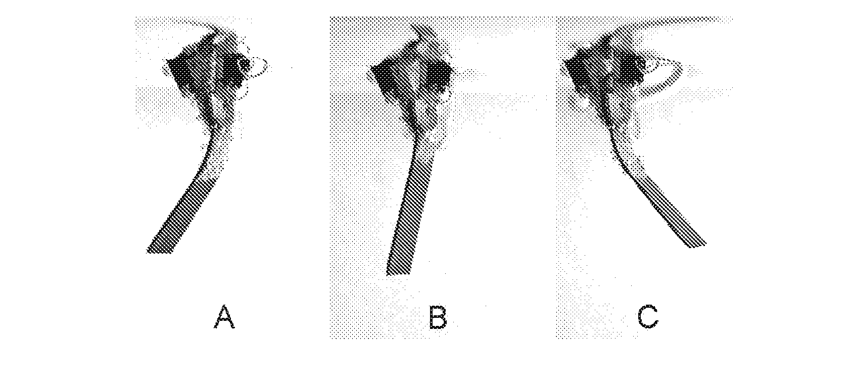 Novel uses of electroactive polymer materials