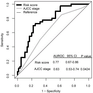 Long non-coding RNA (lnc RNA) model capable of predicting recurrence of gastric cancer and response to platinum drugs, and construction method of lnc RNA model