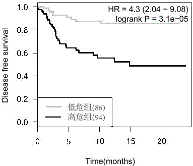 Long non-coding RNA (lnc RNA) model capable of predicting recurrence of gastric cancer and response to platinum drugs, and construction method of lnc RNA model