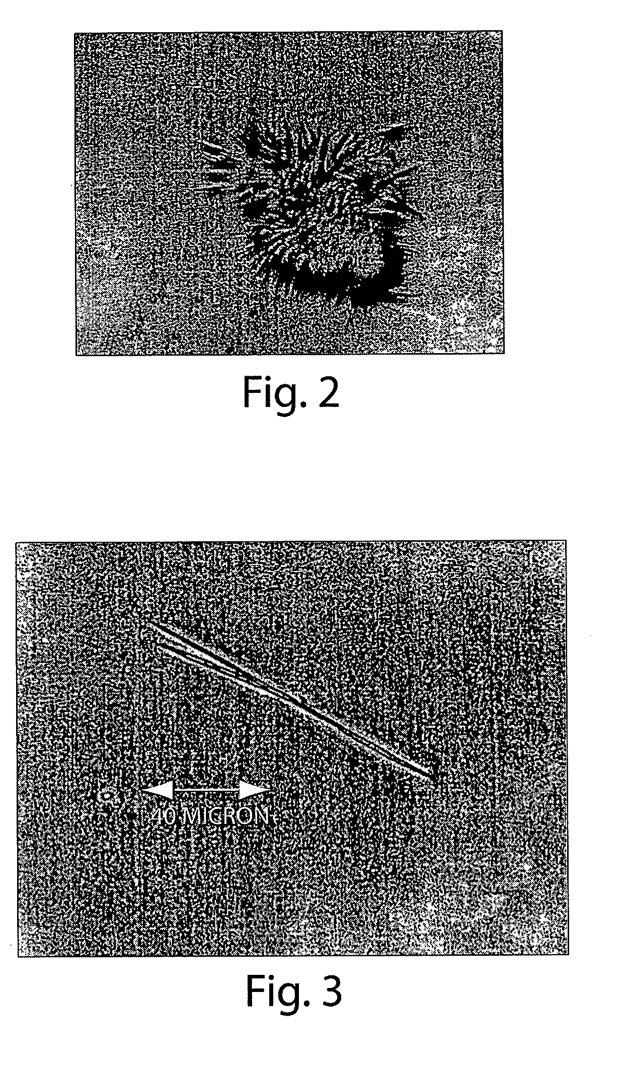 Methods for preparing purified lipotides