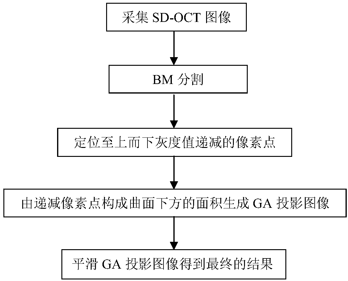 Map-like atrophy projected image generation method based on SD-OCT retina images