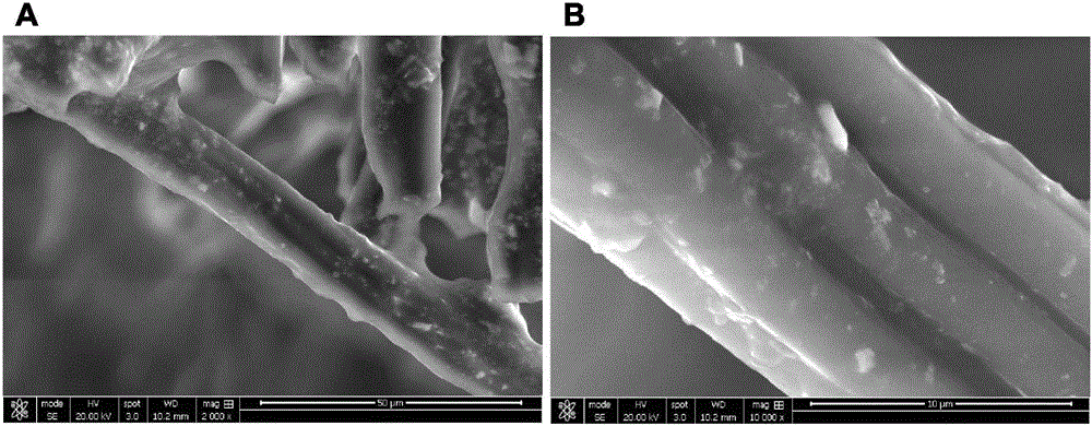 Multifunctional Compound Skin Or Wound Dressing As Regenerative Skin Substitute