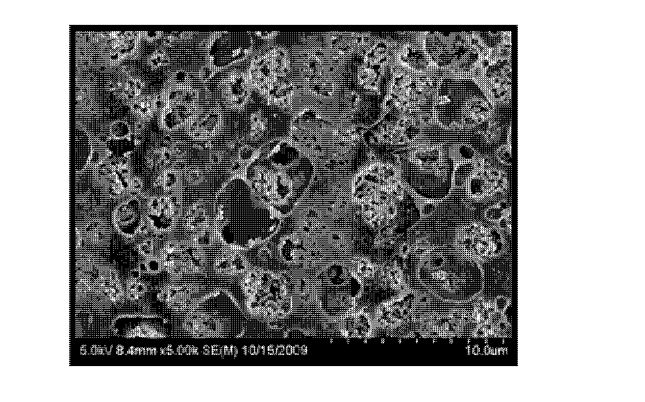 Separator for electrochemical device and electrochemical device including the separator