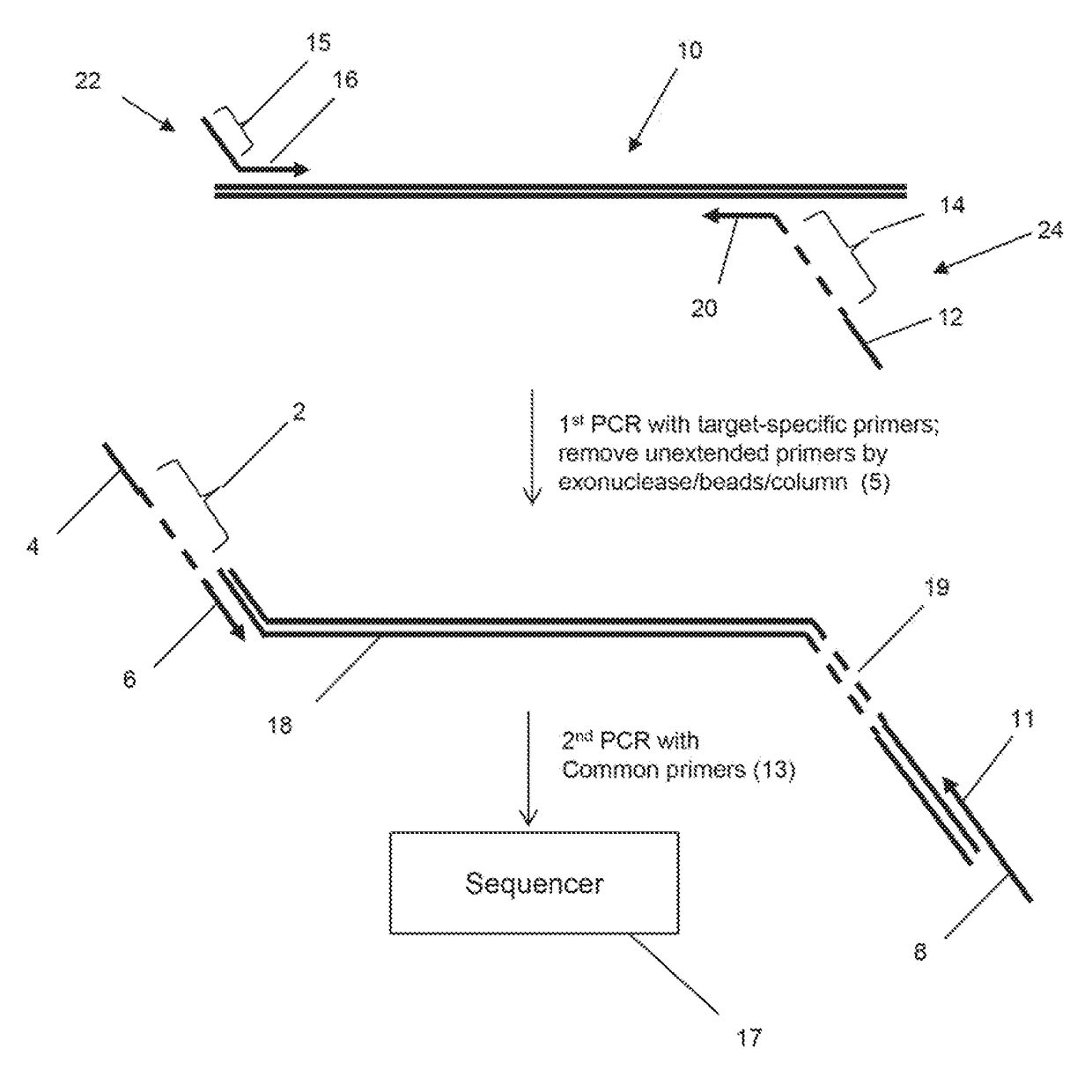 Method for genotyping clonotype profiles using sequence tags