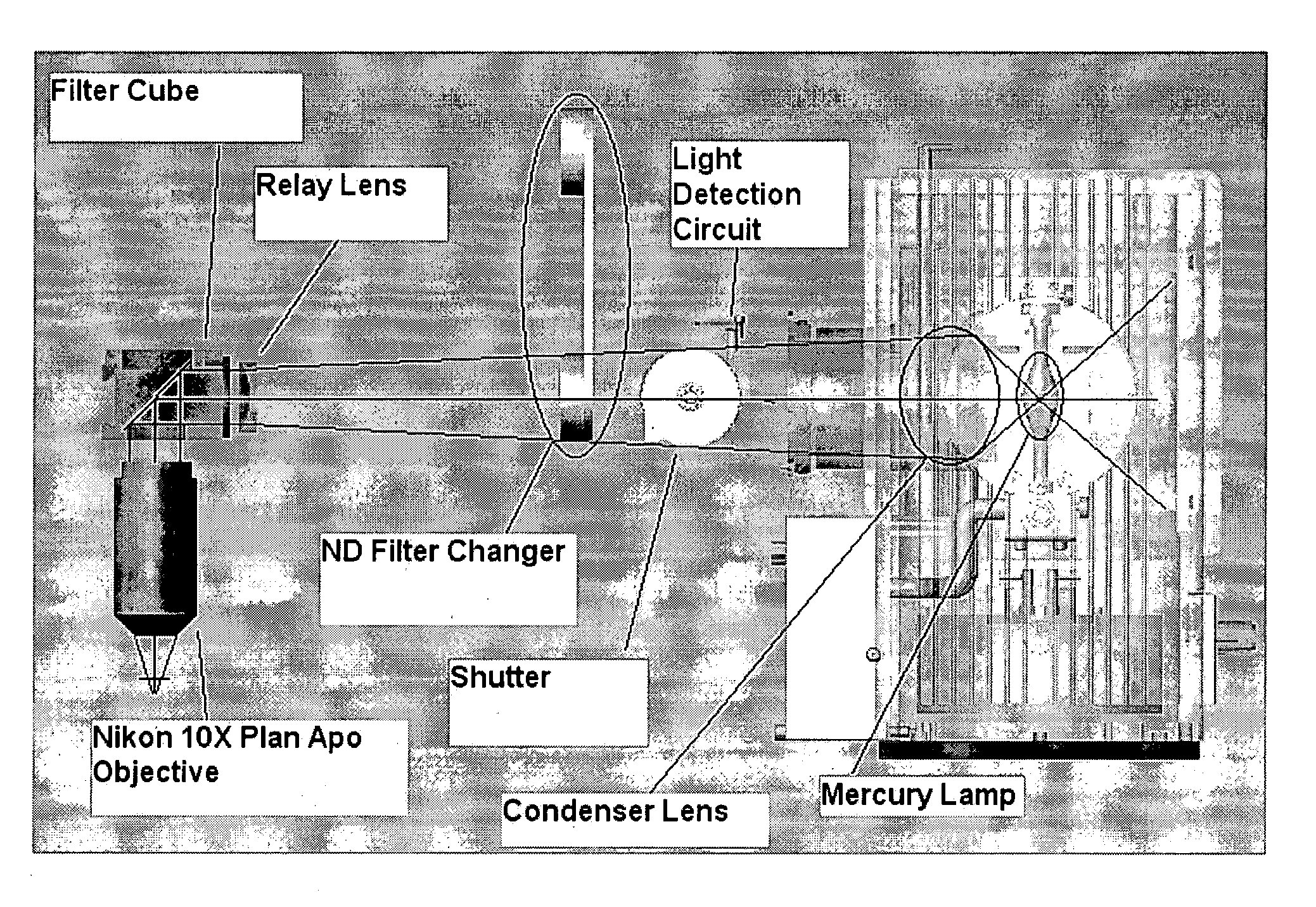 Diagnostic imaging device for the analysis of circulating rare cells