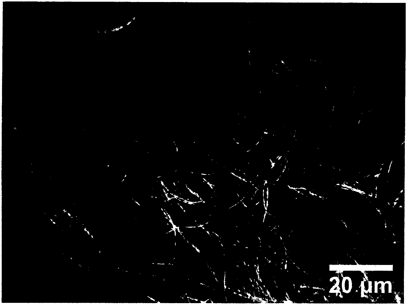 Method for preparing silver nanowires