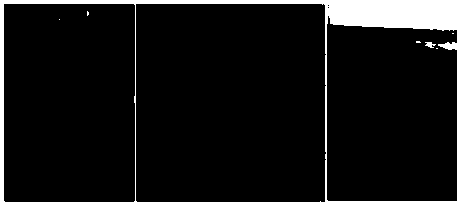 Creation of hydrothermal supported liquid membrane synthesis method for nano material