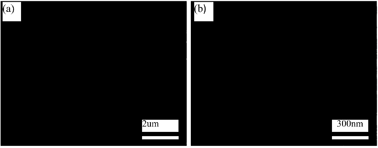 Creation of hydrothermal supported liquid membrane synthesis method for nano material