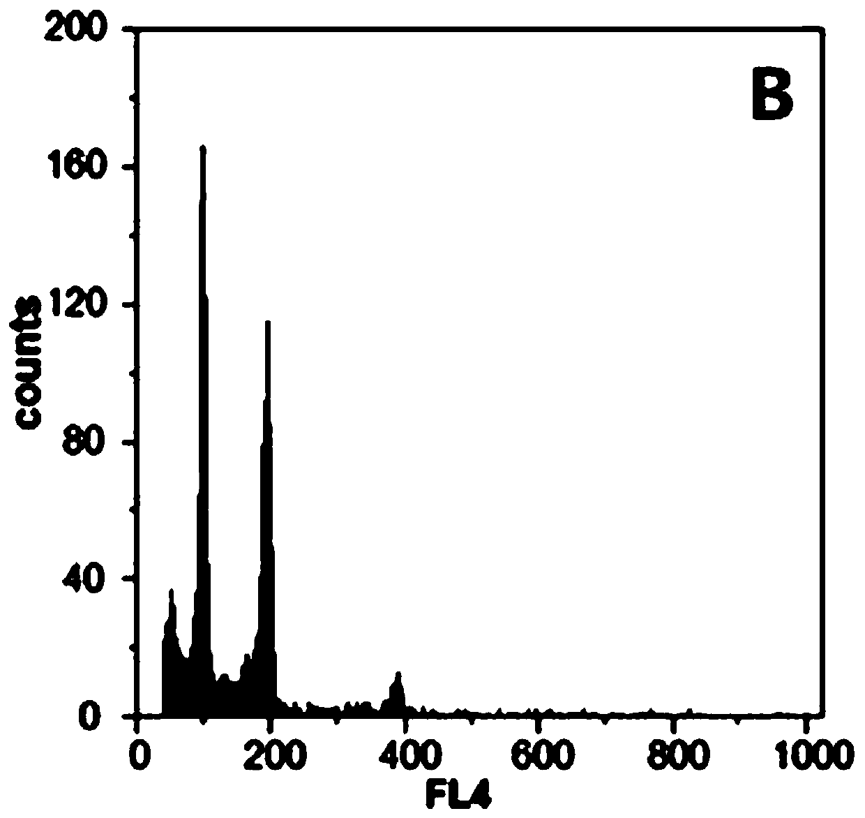 Method for inducing pumpkin haplobiont and culture medium using induction method