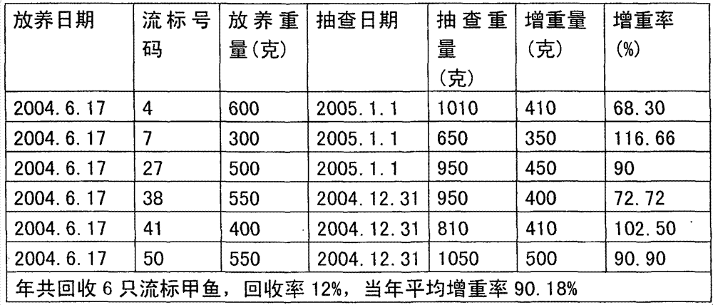 Method for ecologically breeding Chinese soft-shelled turtles on big water surfaces without rails