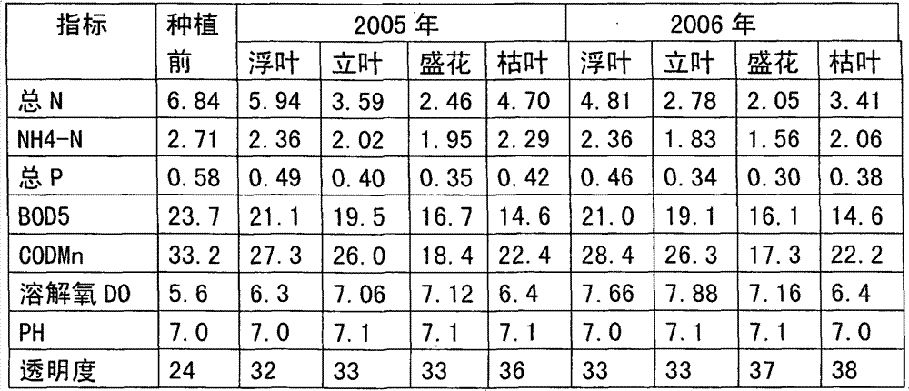 Method for ecologically breeding Chinese soft-shelled turtles on big water surfaces without rails