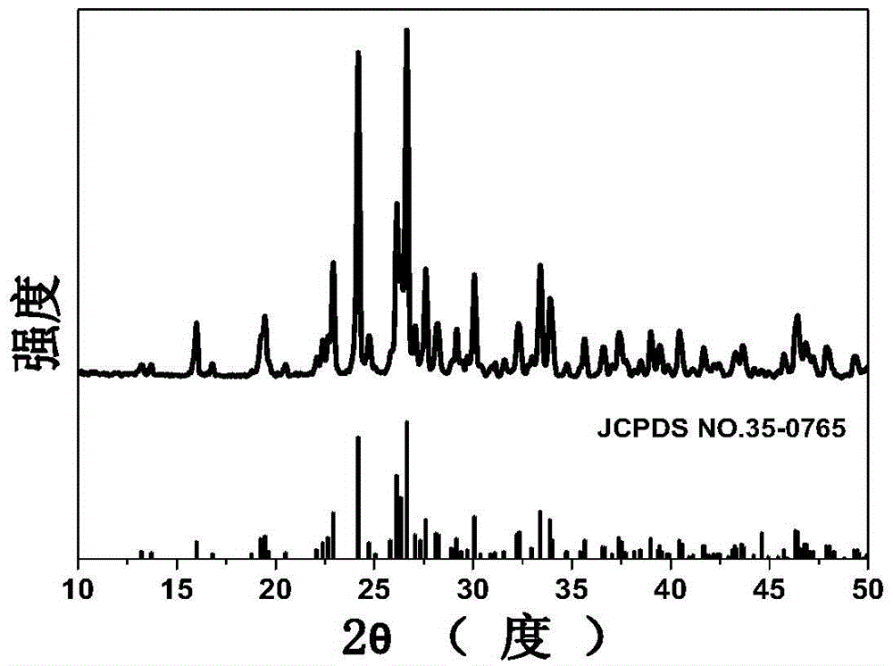 Negative electrode piece of alpha-ZnMoO4 lithium ion battery and preparation method of negative electrode piece