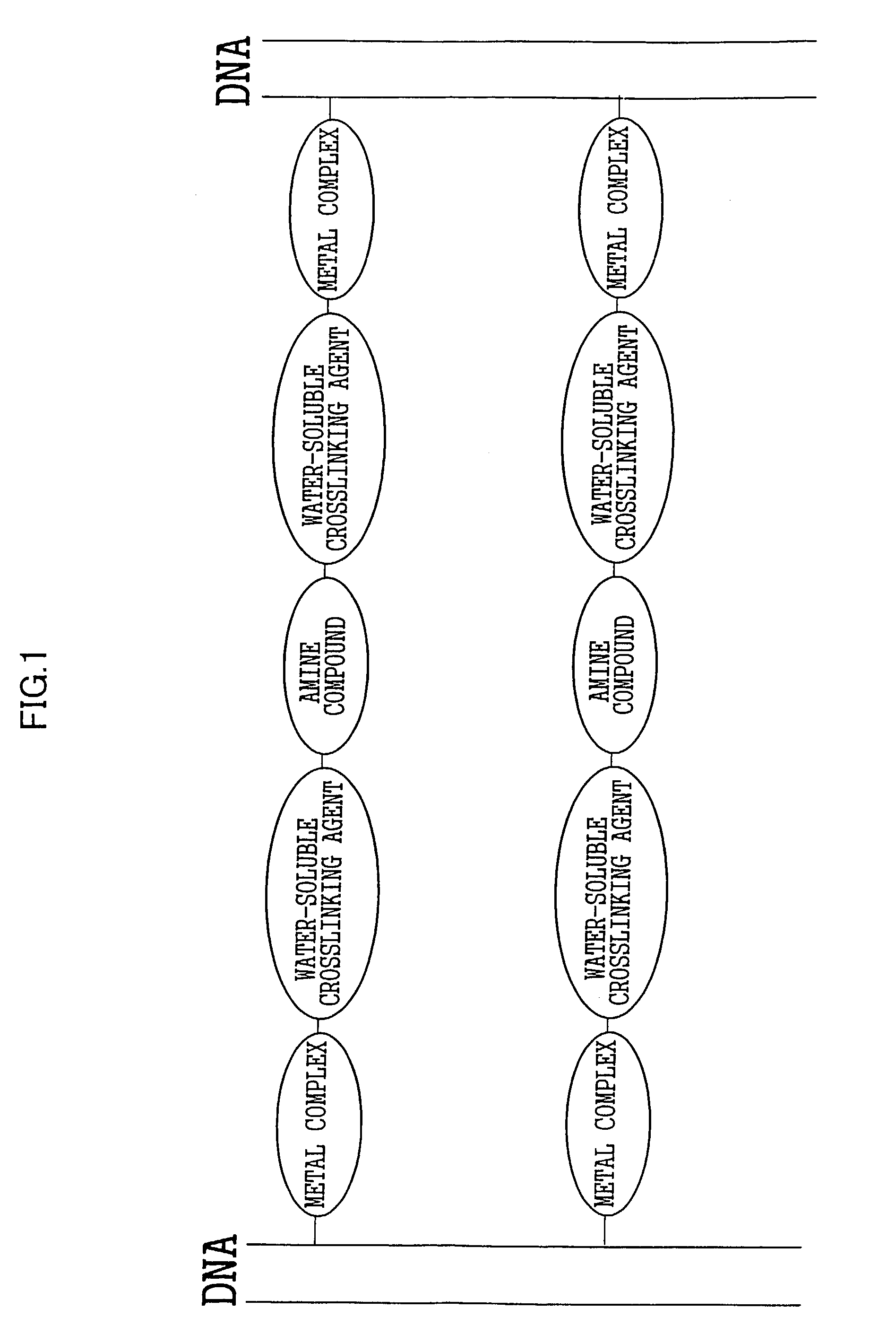 Organic conductor