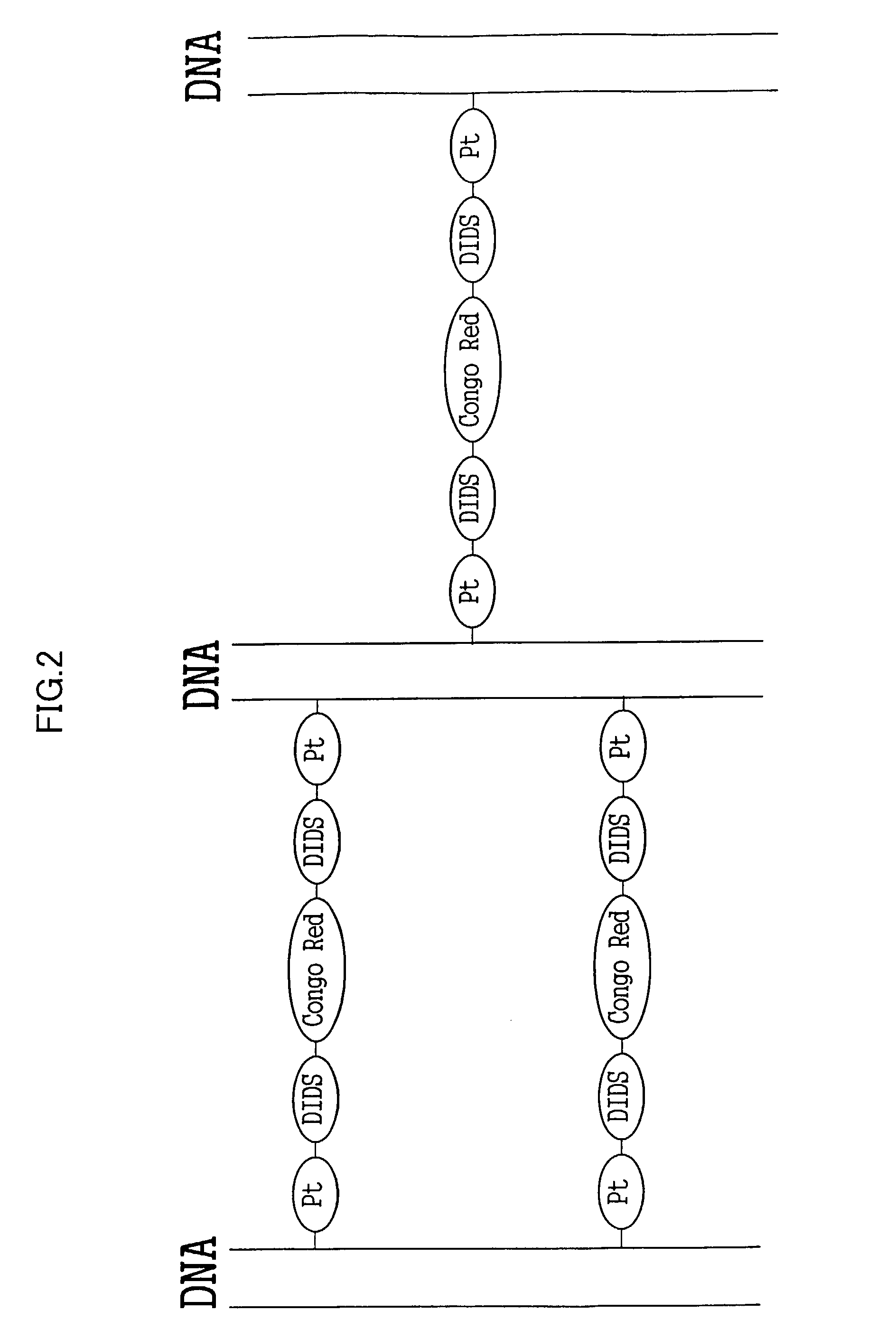 Organic conductor