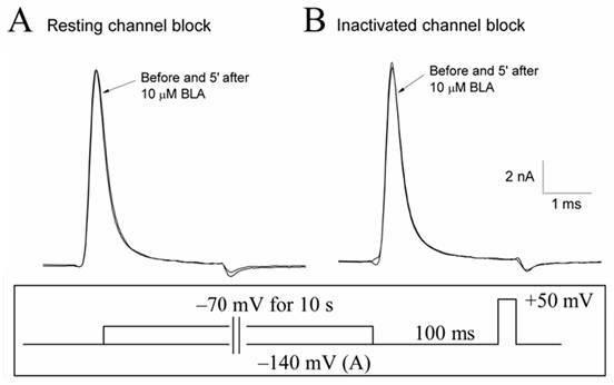 Application of bulleyaconitine A used as state-independent sodium ion channel blocker to analgesia