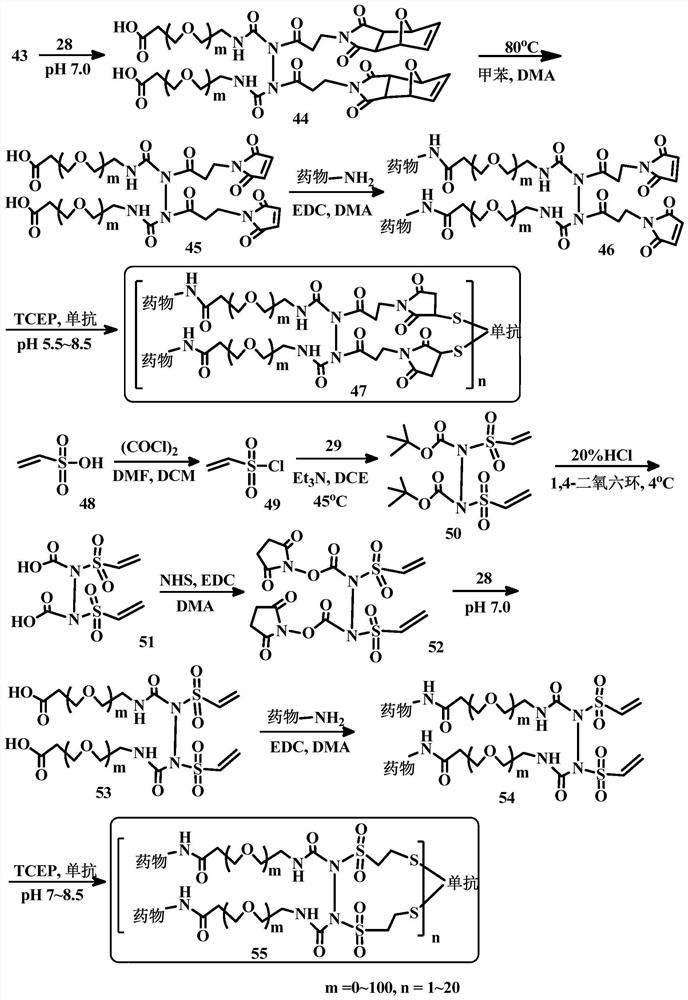 Bridge linkers for conjugate coupling of cell-binding molecules