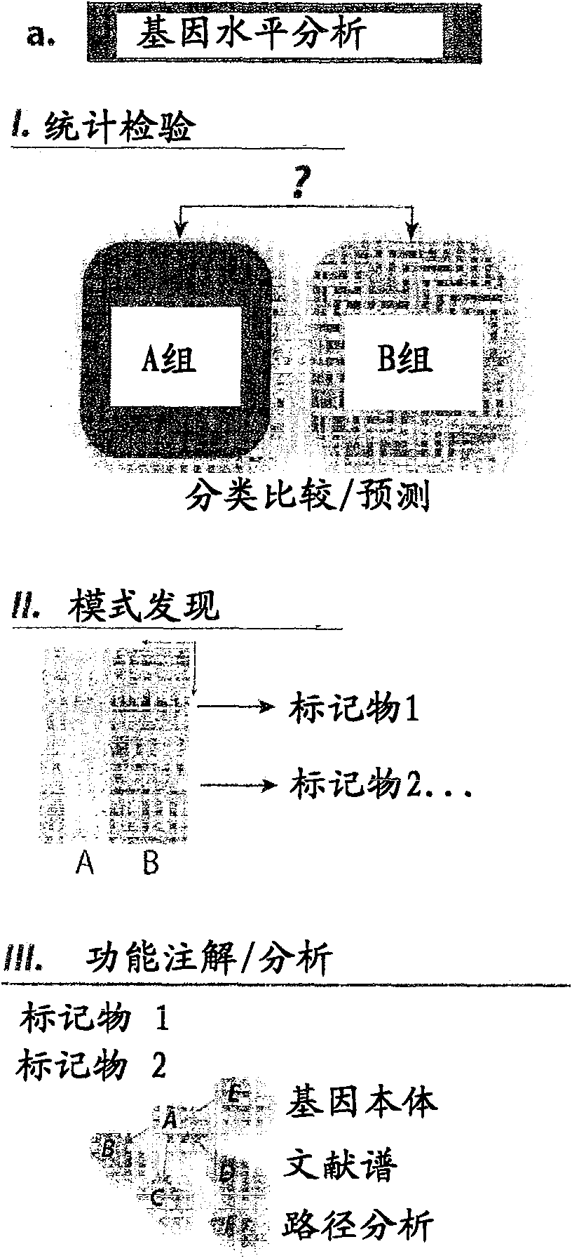 Diagnosis of metastatic melanoma and monitoring indicators of immunosuppression through blood leukocyte microarray analysis