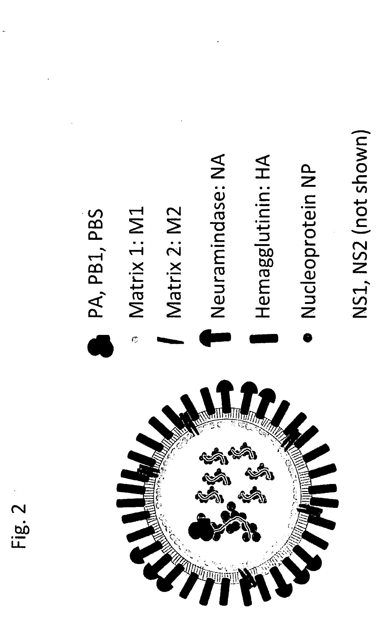 Method for detecting emerging pandemic influenza