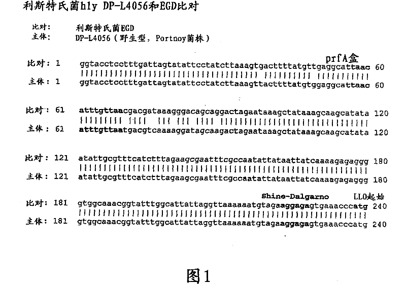 Recombinant nucleic acid molecules, expression cassettes and bacteria, and methods of use thereof