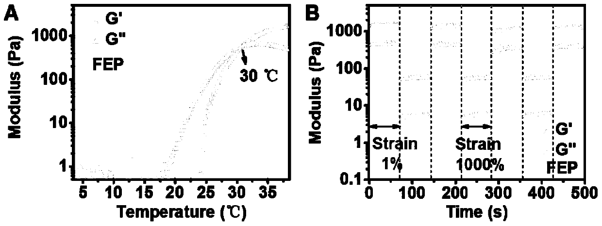 Preparation method of biologically active chronic wound auxiliary material and application thereof