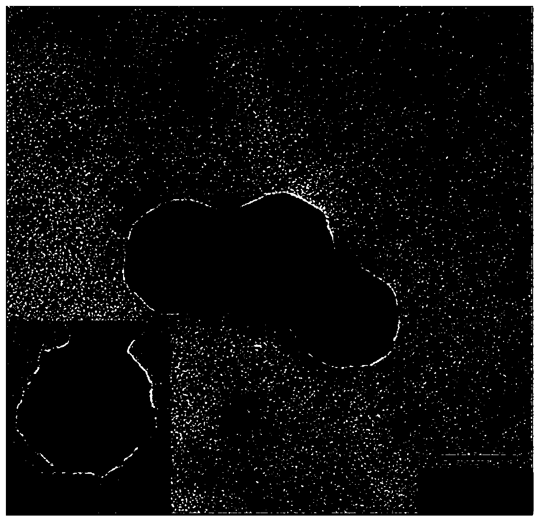 Anti-tumor nano-medicine based on hierarchical release and preparation method thereof