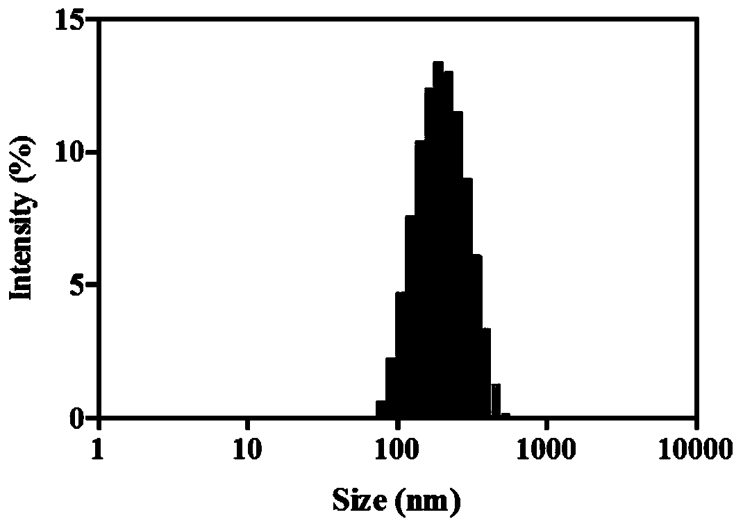 Anti-tumor nano-medicine based on hierarchical release and preparation method thereof