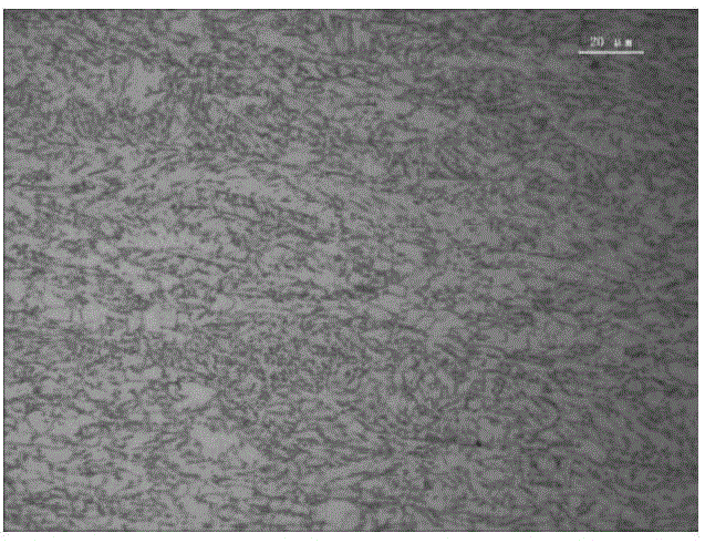 Super-thick pipeline steel plate with excellent low-temperature toughness and production method