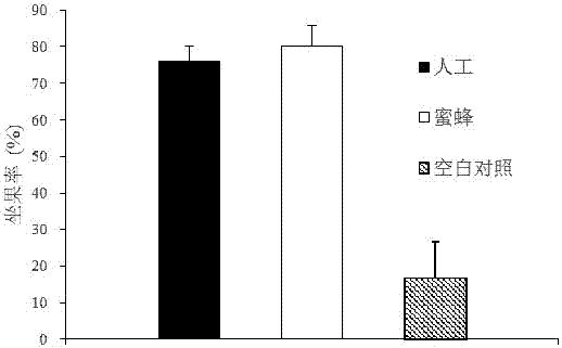 A method for obtaining pear pollen for pollination