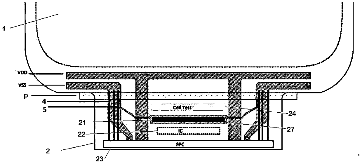 Display panel and display device