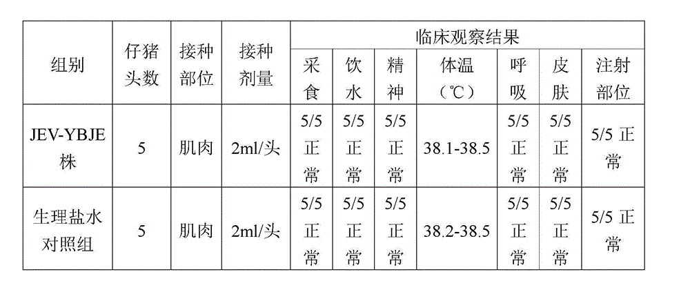 Low virulent strain of pig Japanese encephalitis virus