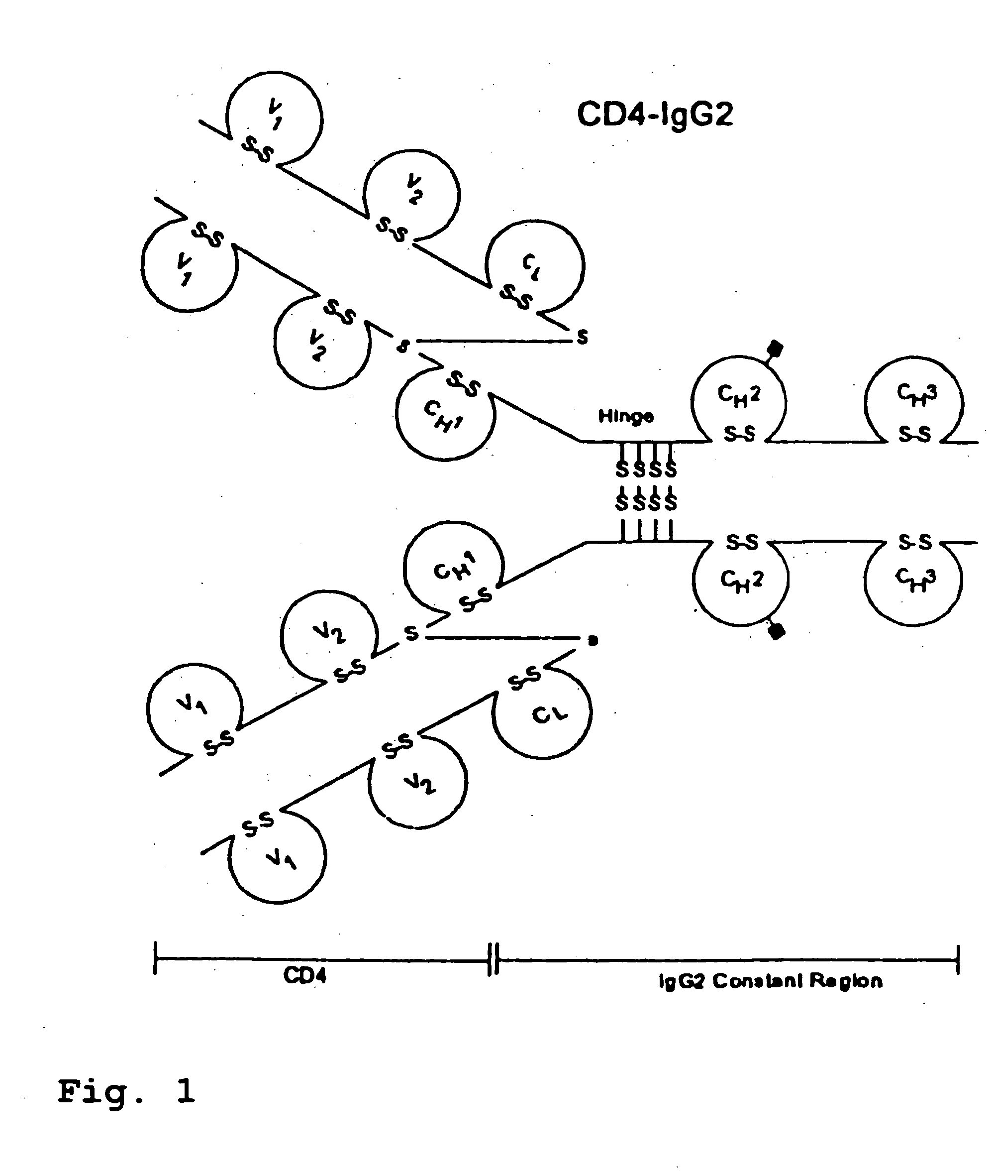 CD4-IgG2 formulations