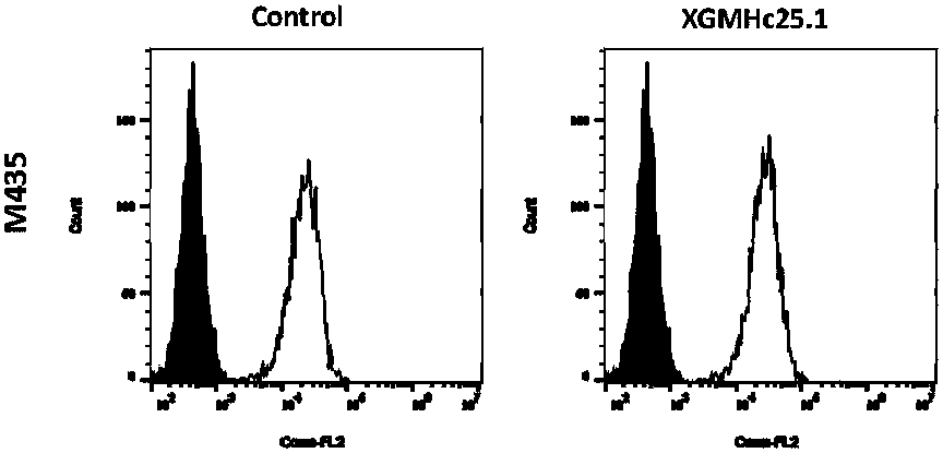 Anti-human B7-H1 monoclonal antibody preparation method and application of antibody to immunohistochemical detection