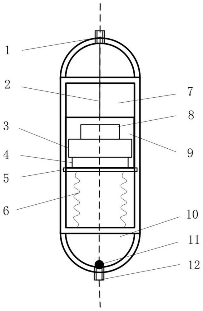 A drug-releasing capsule for visualization of digestive tract sampling