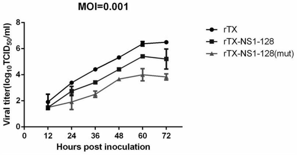 A h9n2 subtype avian influenza virus with interchanged ha and ns1 deletion gene packaging signals and its construction method and application