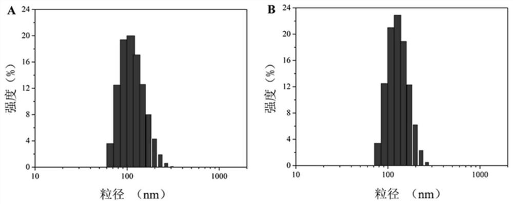 Reduction/pH sensitive polysaccharide-based nano prodrug co-loaded with adriamycin and platinum type drug as well as preparation method and application of reduction/pH sensitive polysaccharide-based nano prodrug