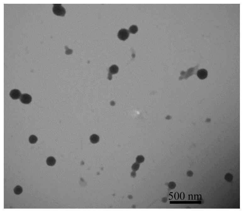 Reduction/pH sensitive polysaccharide-based nano prodrug co-loaded with adriamycin and platinum type drug as well as preparation method and application of reduction/pH sensitive polysaccharide-based nano prodrug