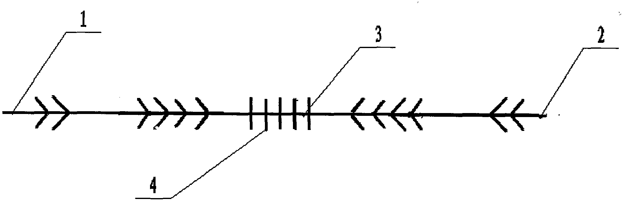 u-shaped pinnate line