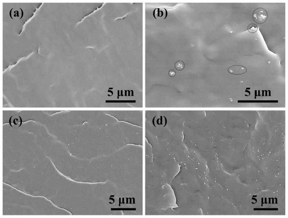 PAMMA-coated BT/PP nanocomposite dielectric film with controllable shell thickness and preparation method thereof