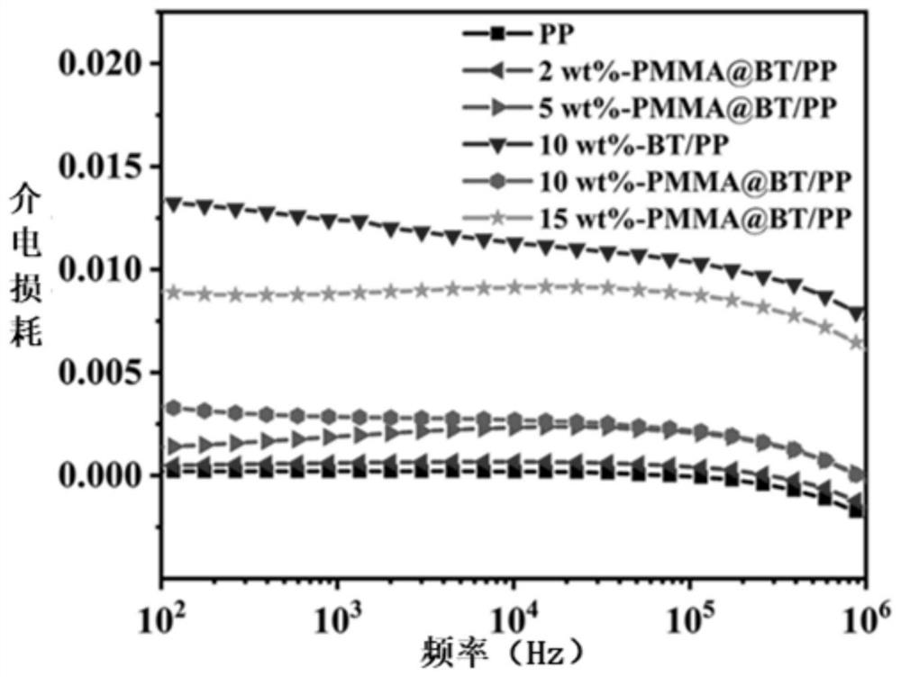 PAMMA-coated BT/PP nanocomposite dielectric film with controllable shell thickness and preparation method thereof