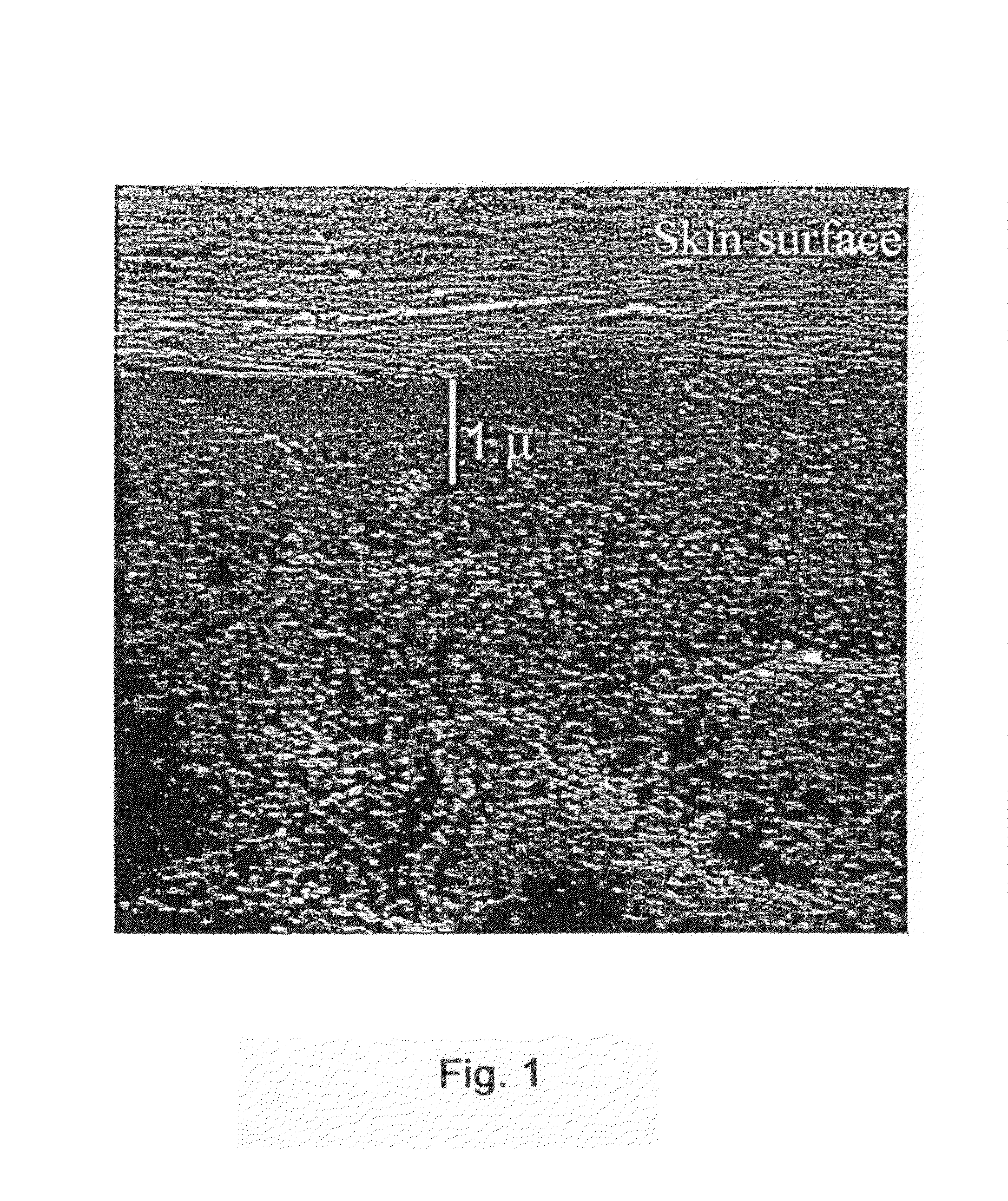 Permeable polyaniline articles for gas separation