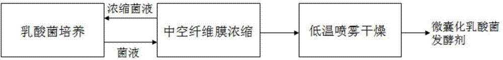 Preparation method of high-activity microencapsulated lactic acid bacteria starter